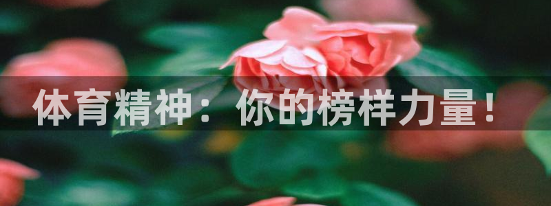 ug环球官网登录入口：体育精神：你的榜样力量！