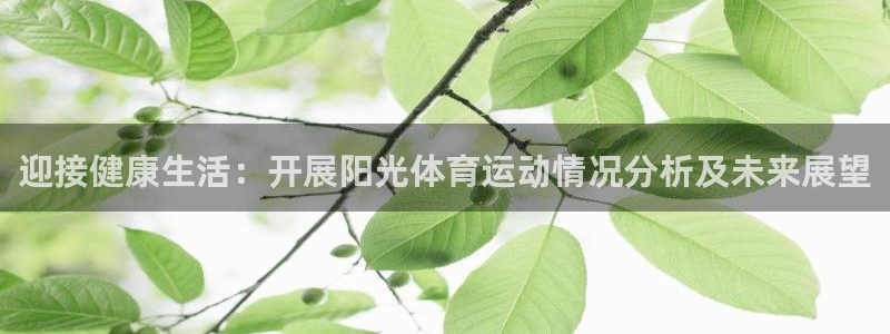 ug环球官网注册：迎接健康生活：开展阳光体育运动情况分析及未来展望