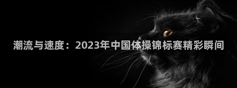 ug环球官网注册：潮流与速度：2023年中国体操锦标赛精彩瞬间