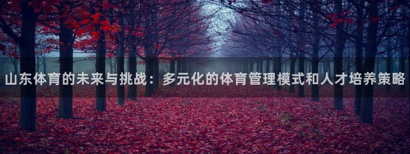 ug环球官网登录入口：山东体育的未来与挑战：多元化的体育管理模式和人才培养策略
