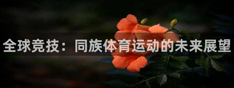 ug环球官网登录入口：全球竞技：同族体育运动的未来展望