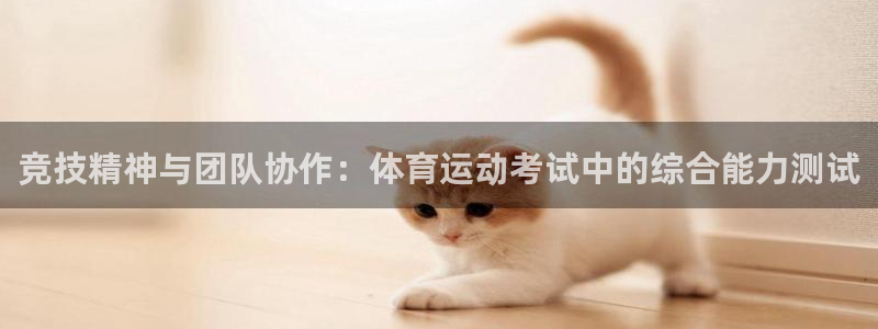 ug环球官网注册：竞技精神与团队协作：体育运动考试中的综合能力测试