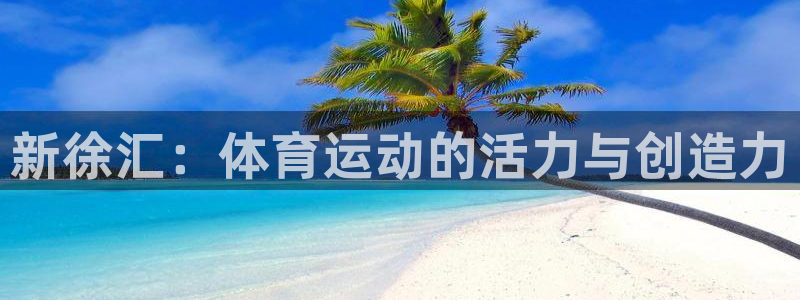ug环球官网：新徐汇：体育运动的活力与创造力
