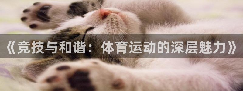 ug环球官网登录入口：《竞技与和谐：体育运动的深层魅力》
