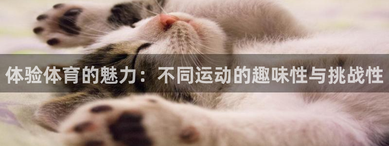 ug环球官网登录入口：体验体育的魅力：不同运动的趣味性与挑战性